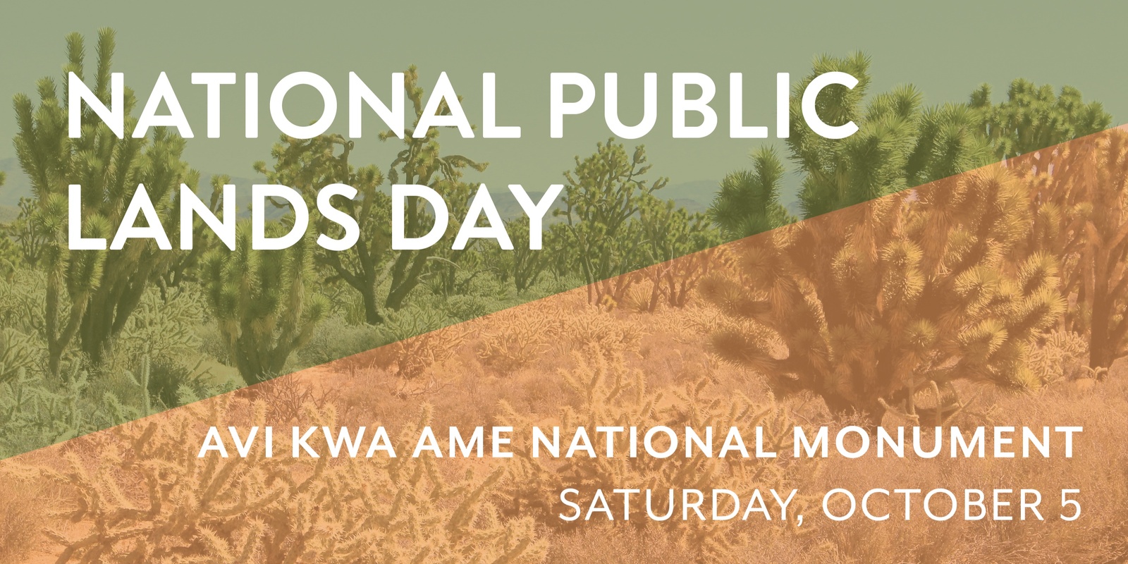 Banner image for NATIONAL PUBLIC LANDS DAY @ Avi Kwa Ame National Monument