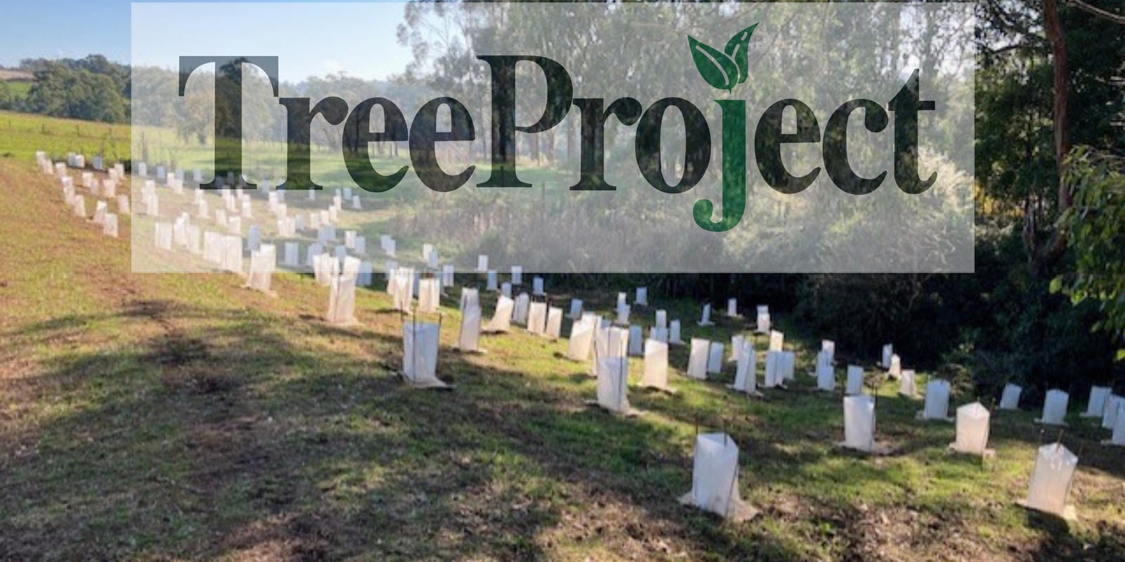 Banner image for Help plant native Seedlings at Dixons Creek(4)