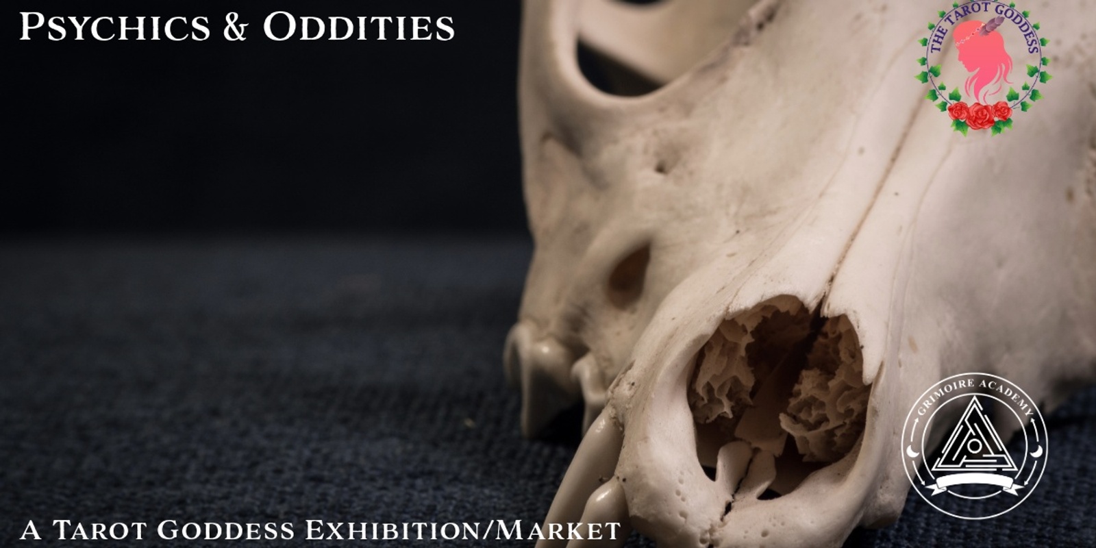 Banner image for Psychics & Oddities: An Exhibition (May 24, 2025) Manchester, NH