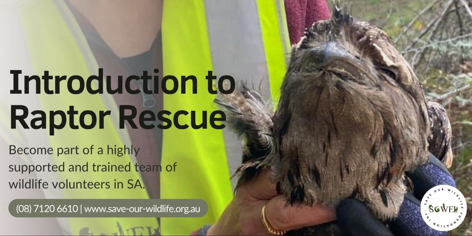 Banner image for Introduction to Raptor Rescue