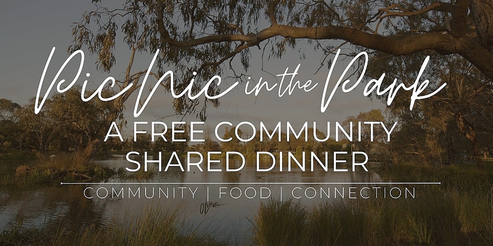 Banner image for Pic Nic in the Park - Geelong 