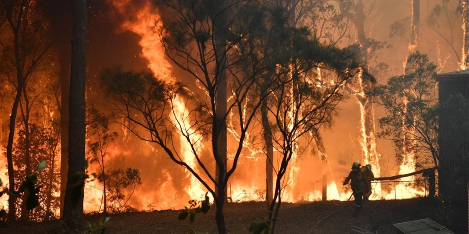 Banner image for Goughs Bay Fire Safety Essentials