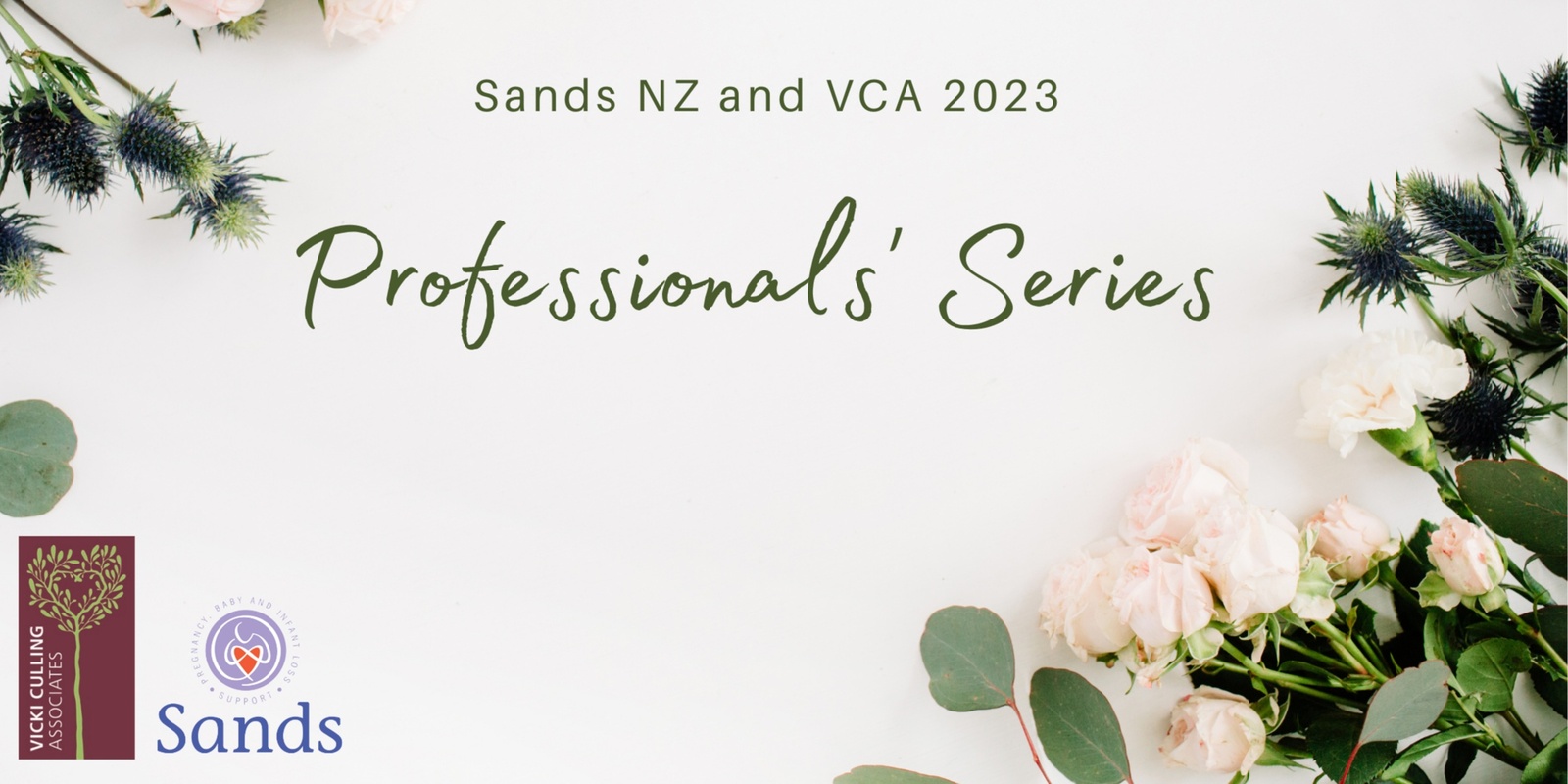 Banner image for Sands NZ & VCA Professionals' Series - July to October