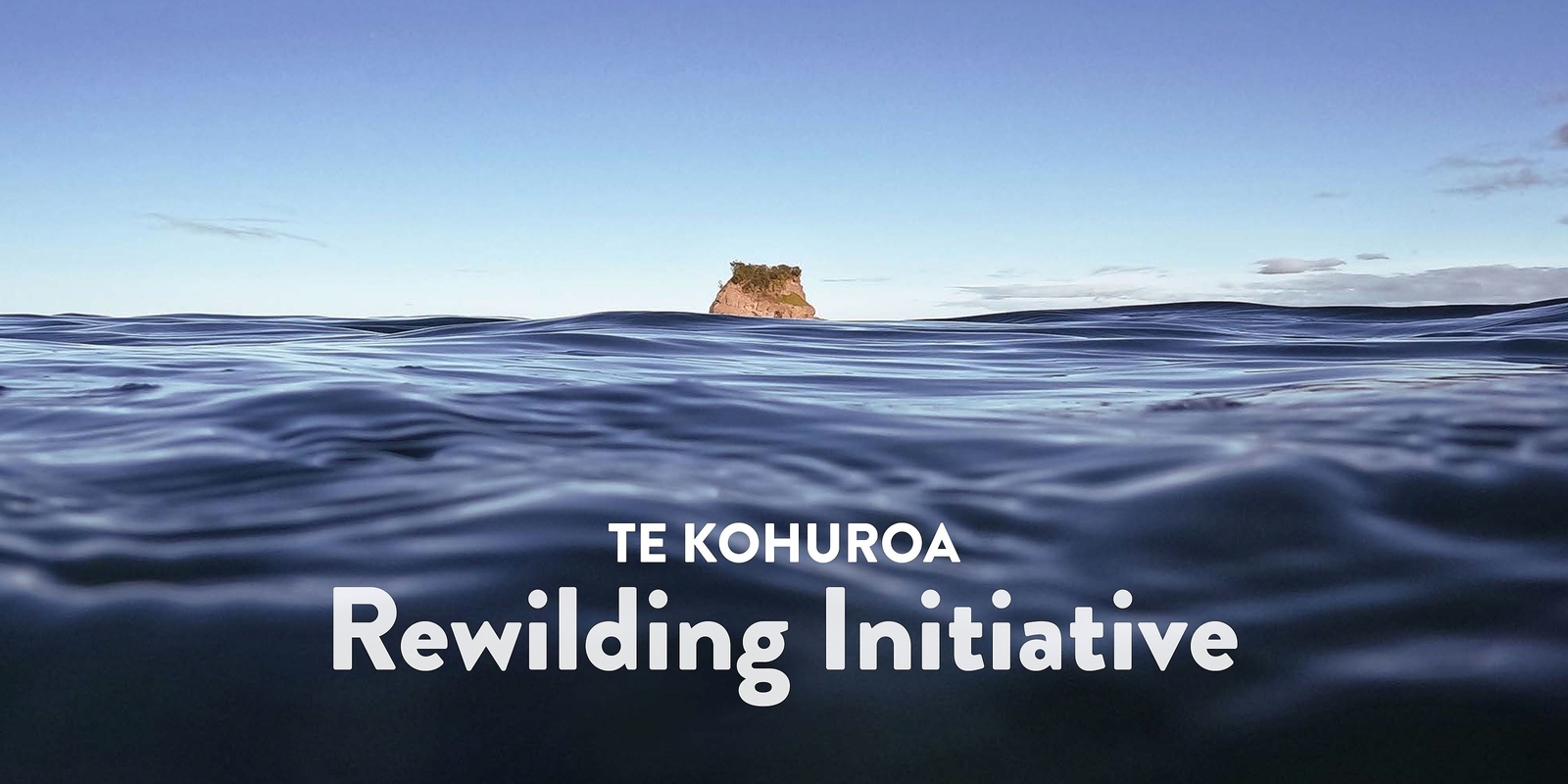 Banner image for Te Kohuroa Rewilding Initiative: Community Consultation Day 