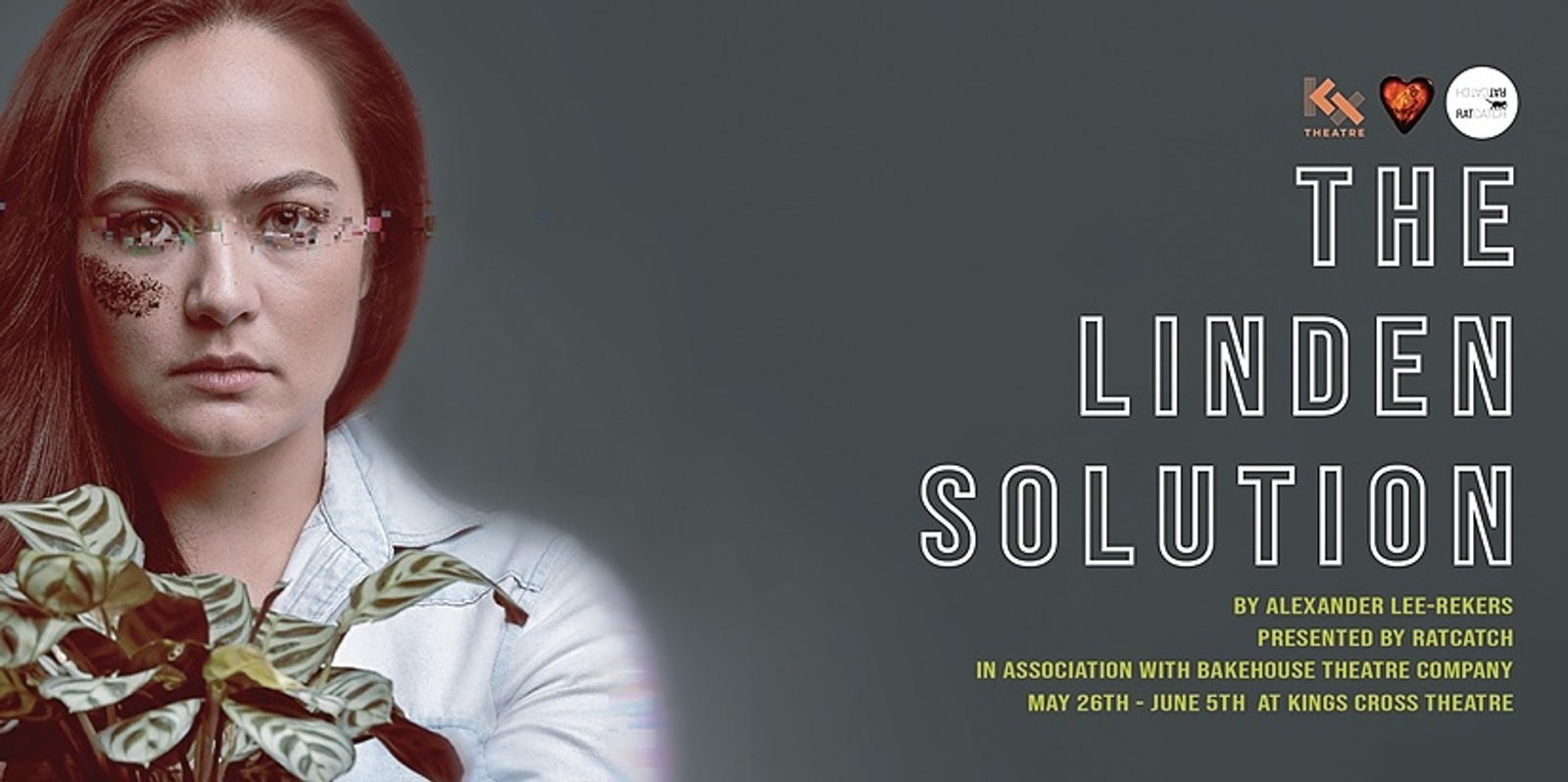 Banner image for THE LINDEN SOLUTION