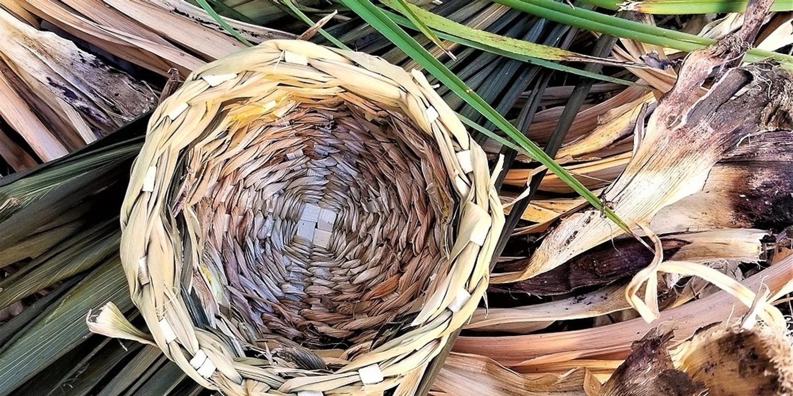 Banner image for Basket Weaving - Twined