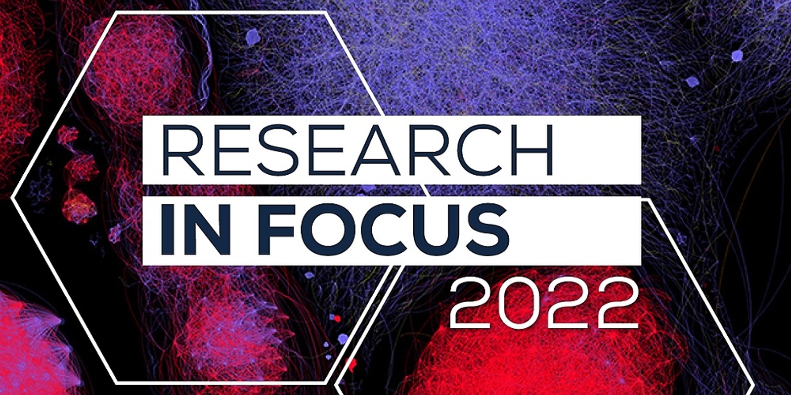 Banner image for Research in Focus | Finalist event and award ceremony