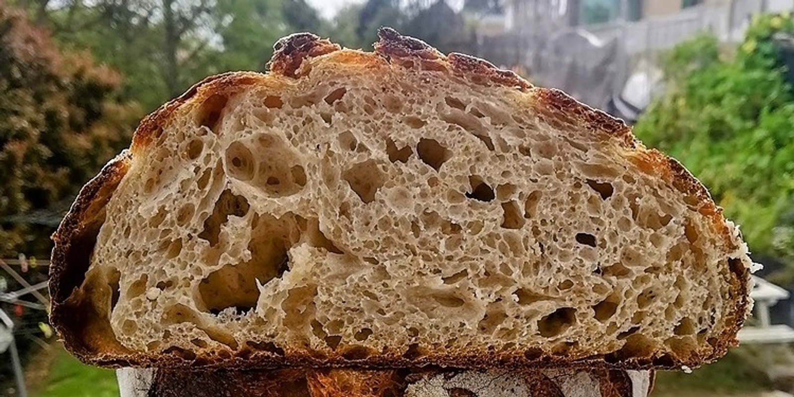 Banner image for Sourdough Bread Basics (Thu)