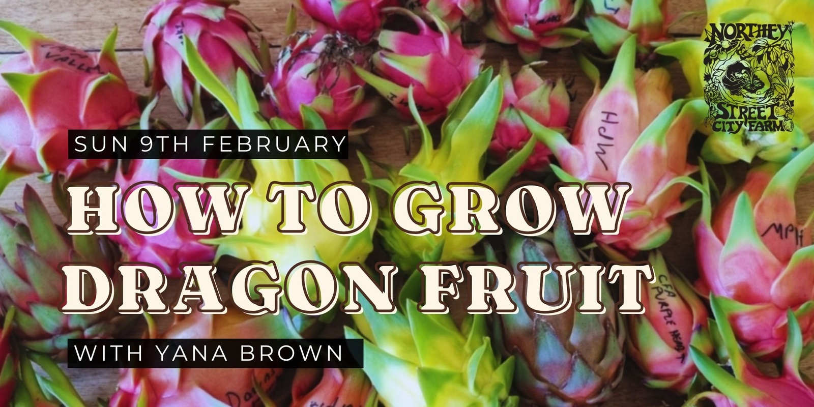 Banner image for How to Grow Dragon Fruit with Yana Brown