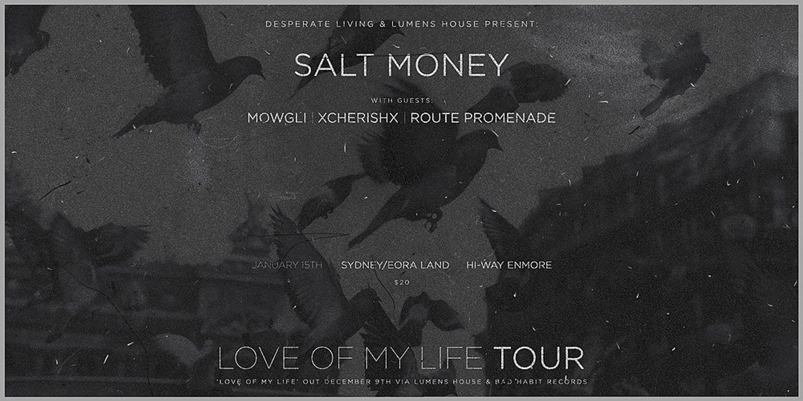 Banner image for Salt Money - Love Of My Life Tour [SYD]