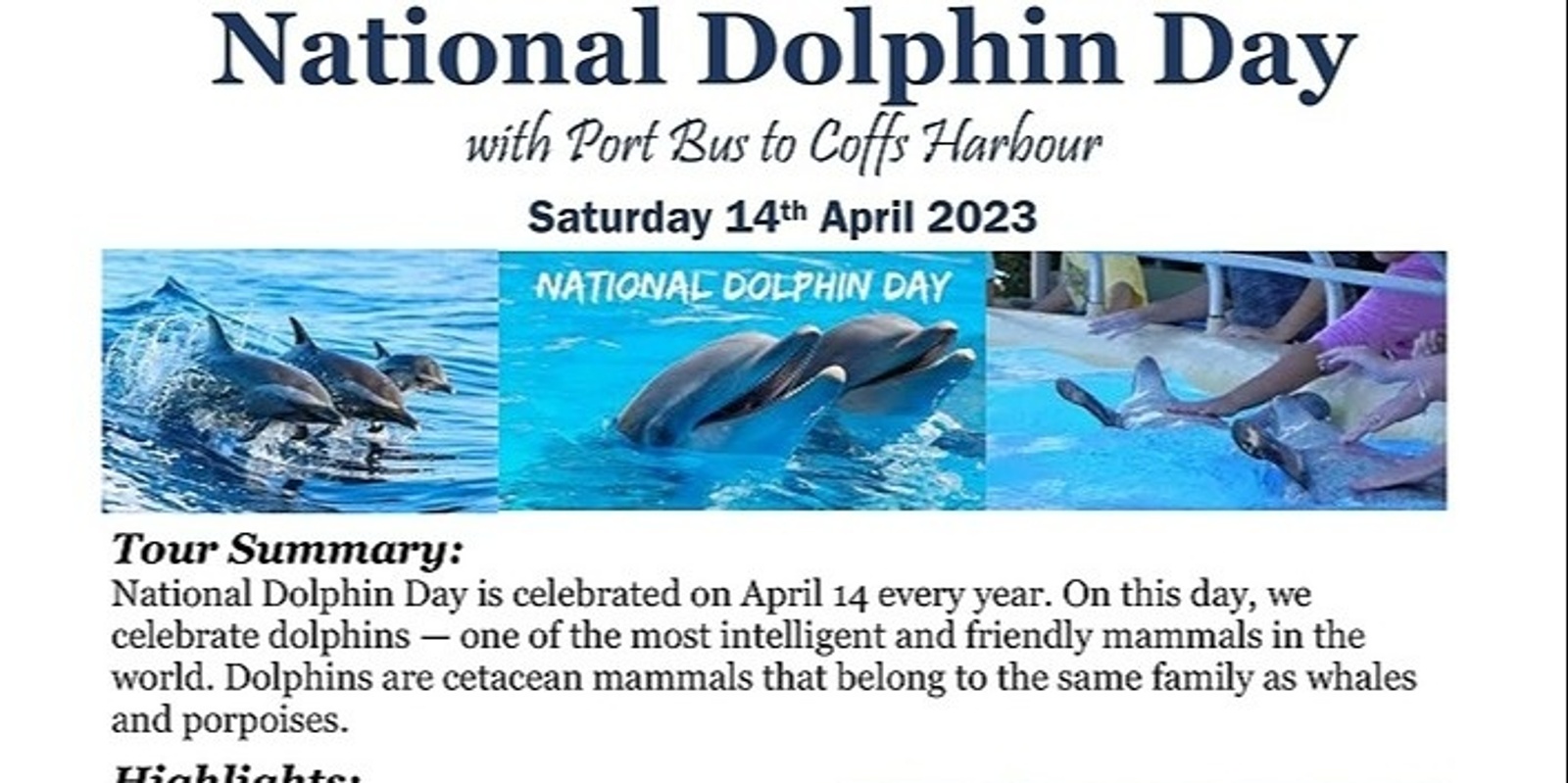 National Dolphin Day Humanitix