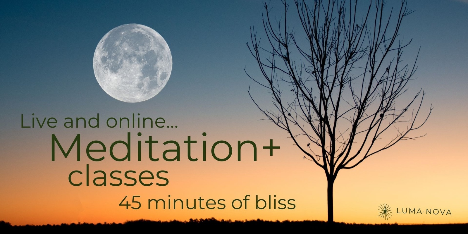 Banner image for 15/05 Live Meditation+ Class + REPLAY