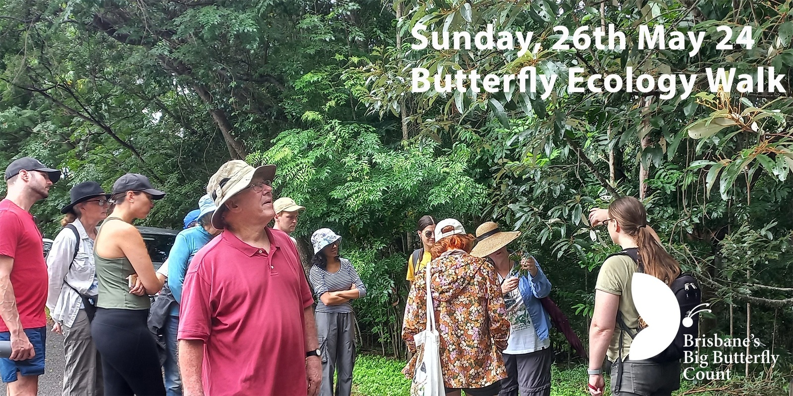Banner image for Butterfly Ecology Walk with Helen Schwencke at Flinders Park, Fitzgibbon