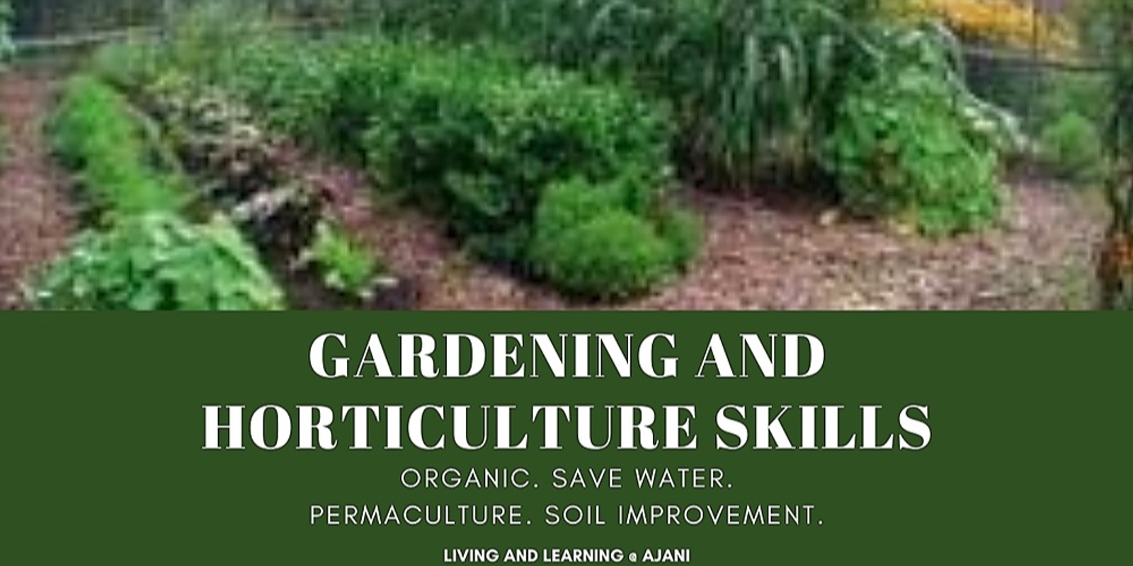 Banner image for Gardening and Horticulture Skills (Term 2)