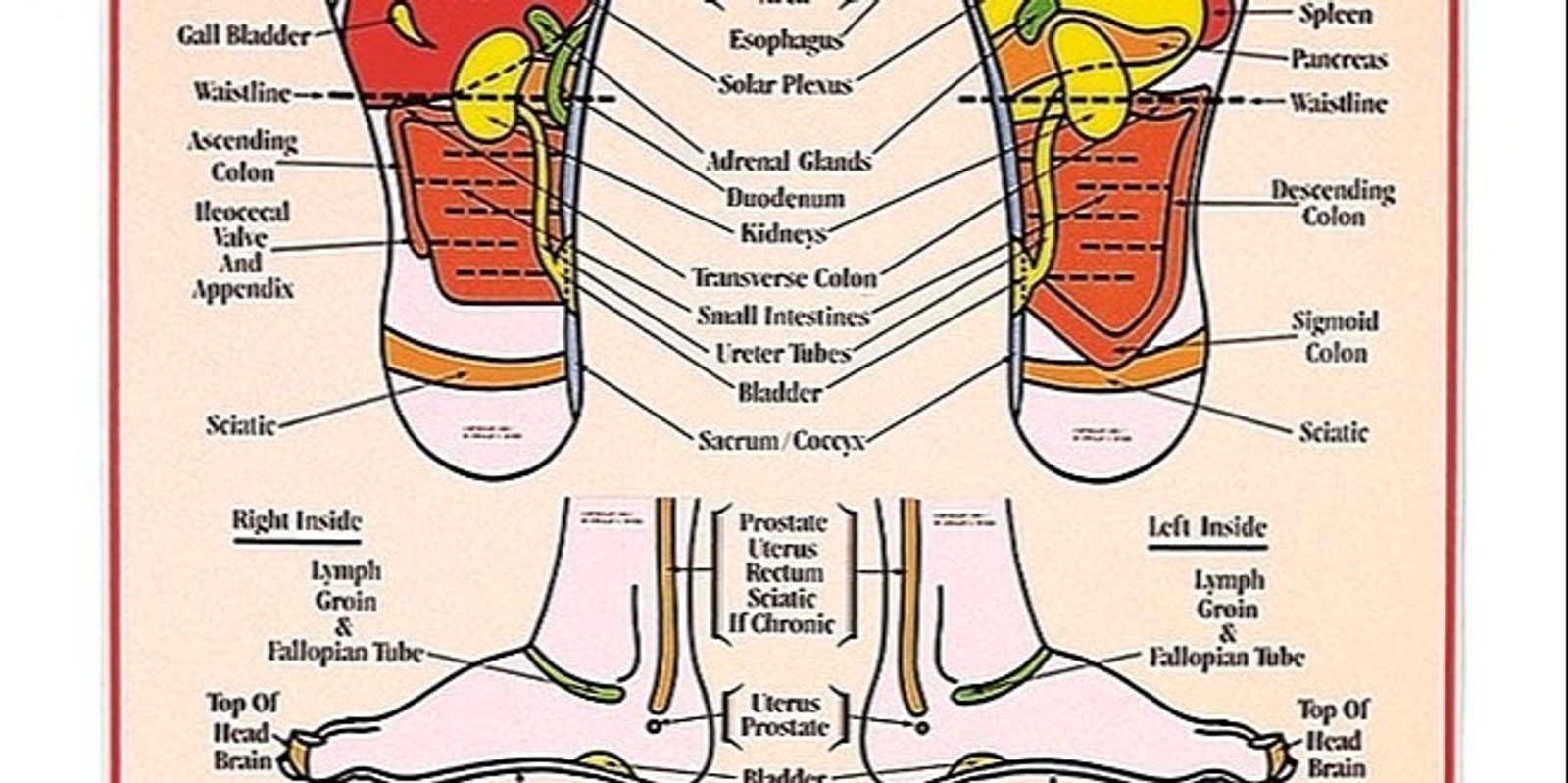 Reflexology for family and friends