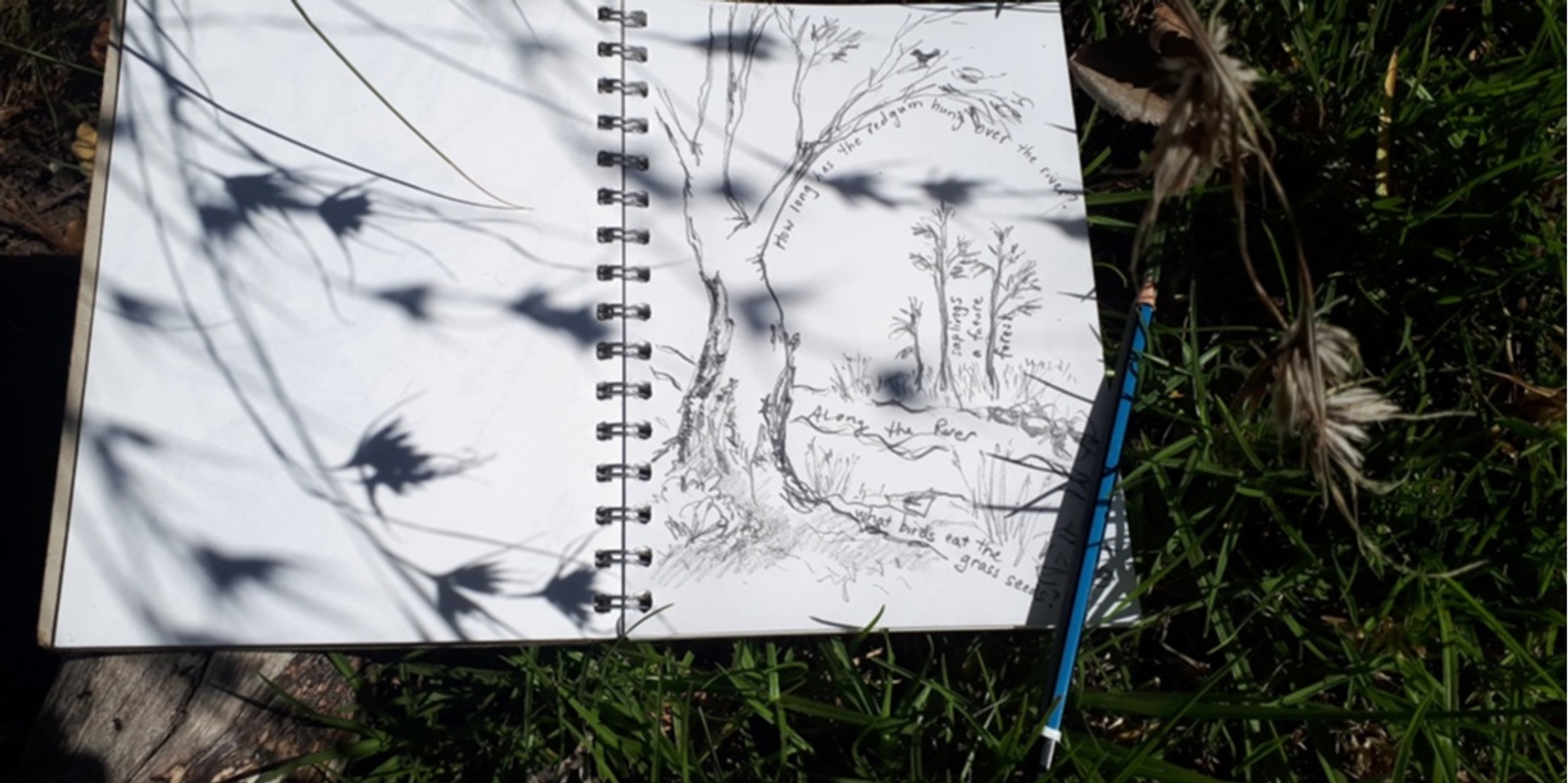 Banner image for Nature Journaling