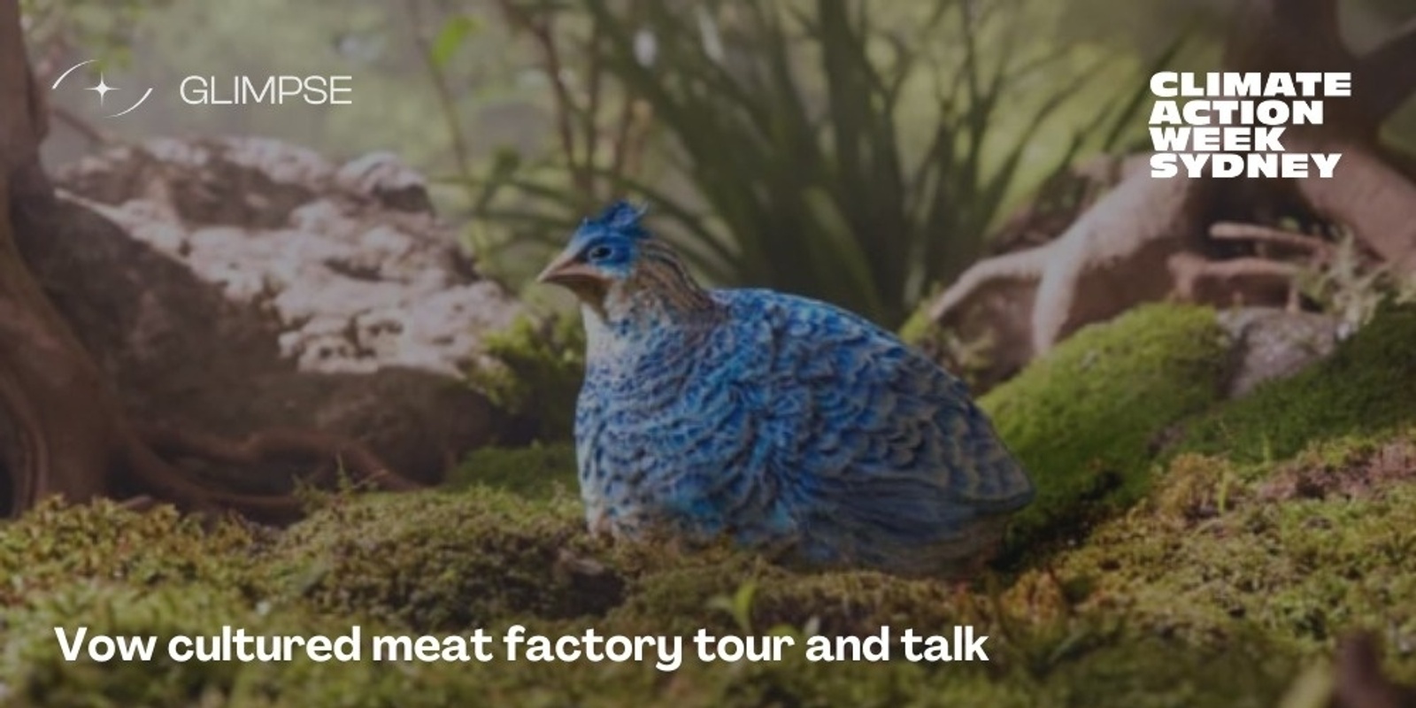 Banner image for Vow Cultured Meat Factory Tour and Talk