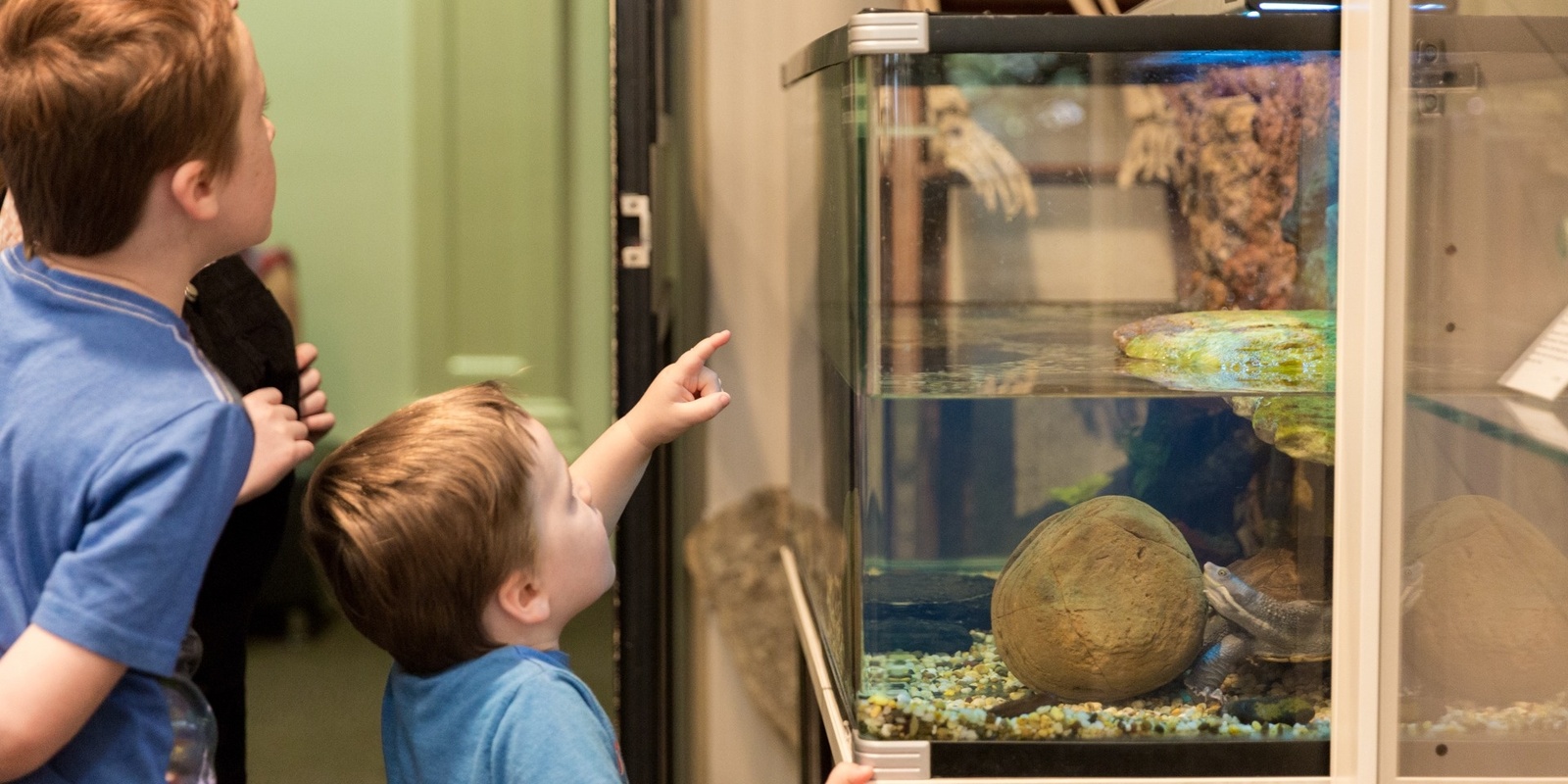 Banner image for Relaxed, sensory-friendly morning at the South Australian Museum