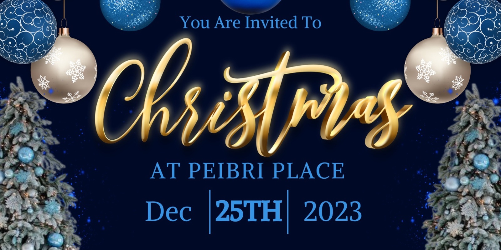 Christmas Day at Peibri Place | Humanitix