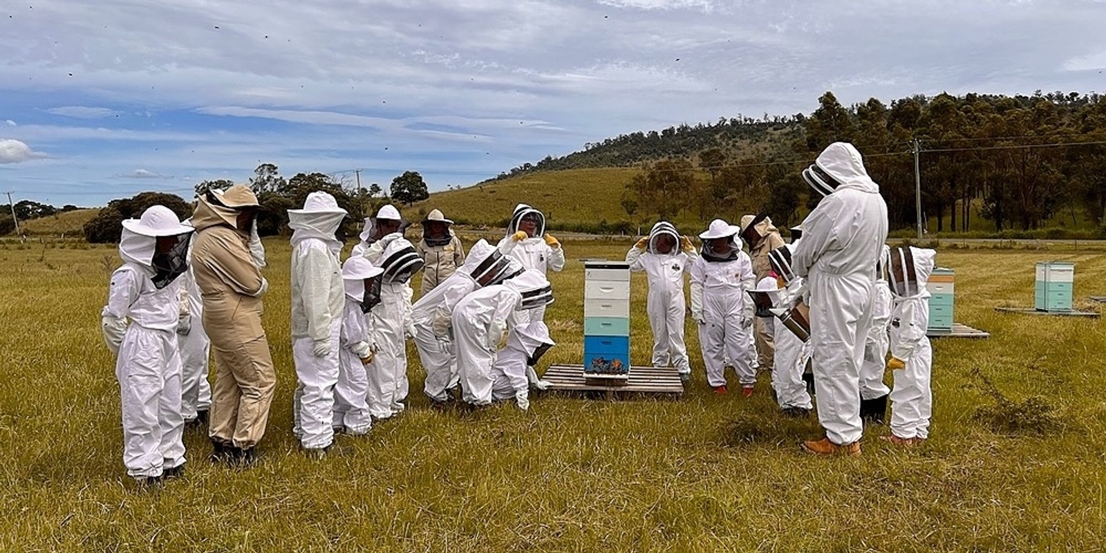 Banner image for Tasmanian Junior Beekeepers January Session