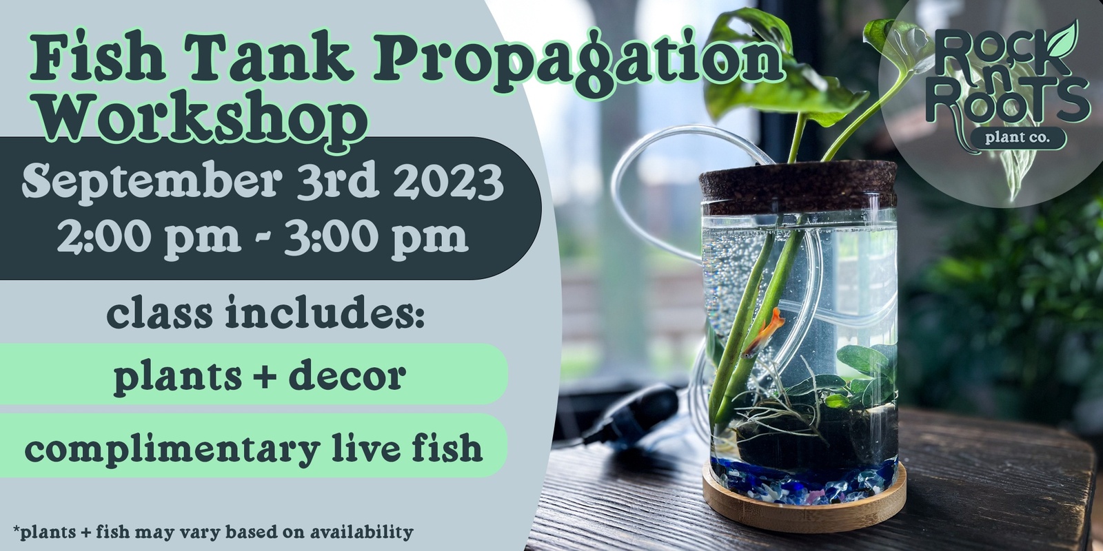 Banner image for Fish Tank Propagation Workshop at Rock n' Roots Plant Co. (Pawleys Island, SC)