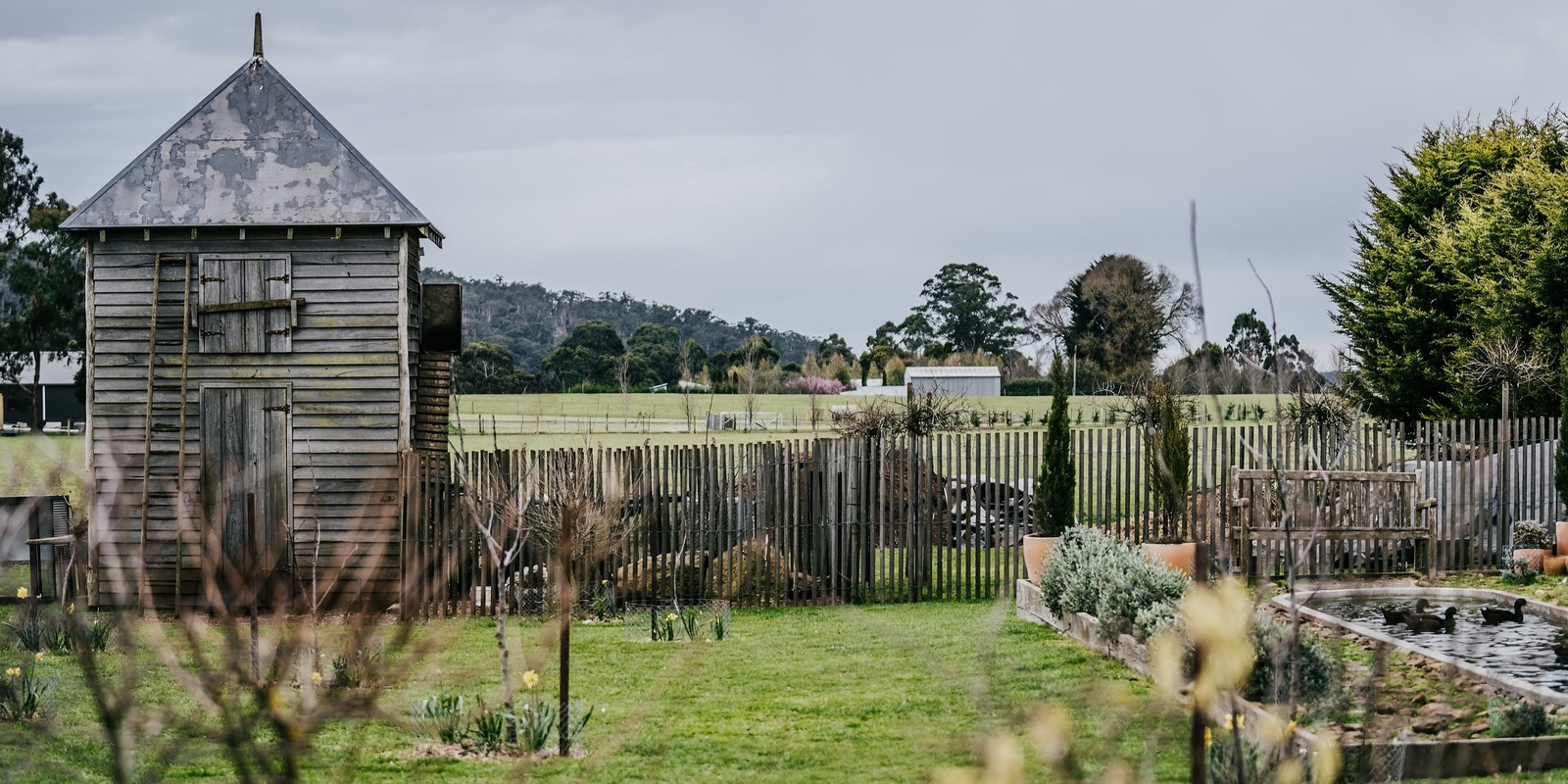 Banner image for Summer Open Day