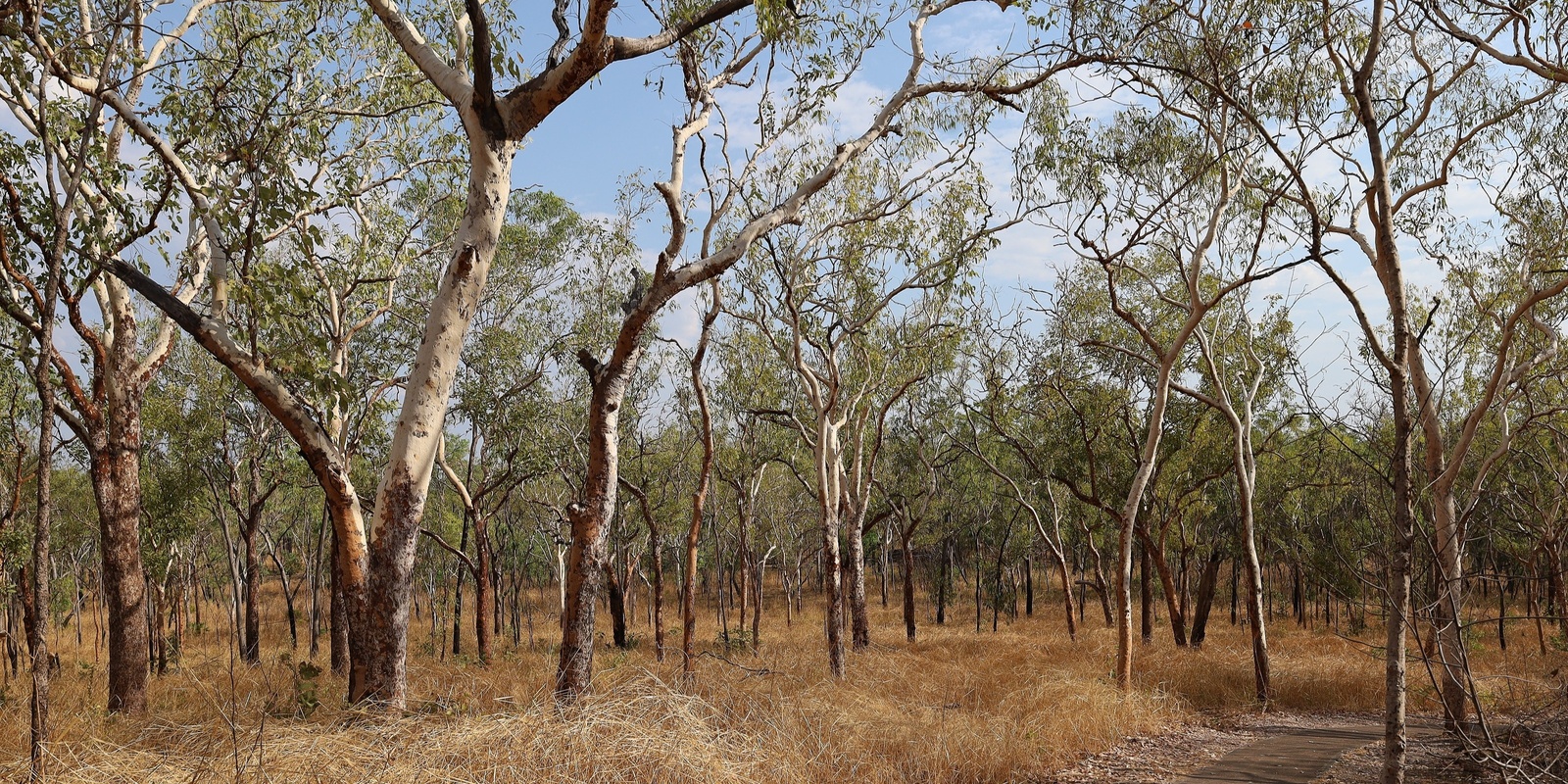 Banner image for CRC TiME and CSIRO Indigenous Research  Project Funding - Information Sharing Event