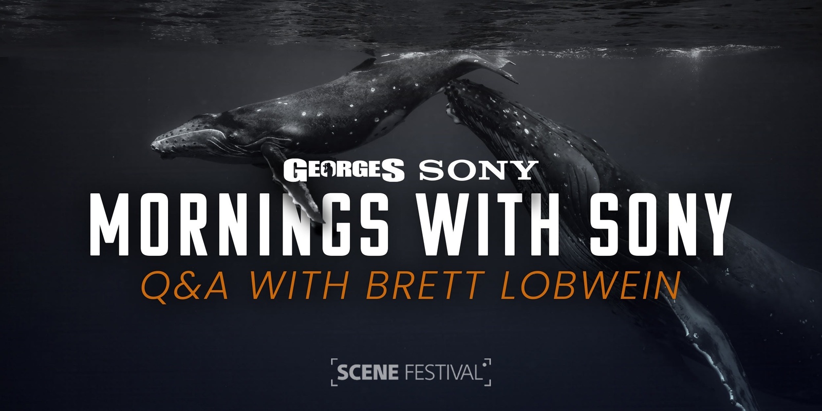 Banner image for MORNINGS WITH SONY - Q&A With Brett Lobwein