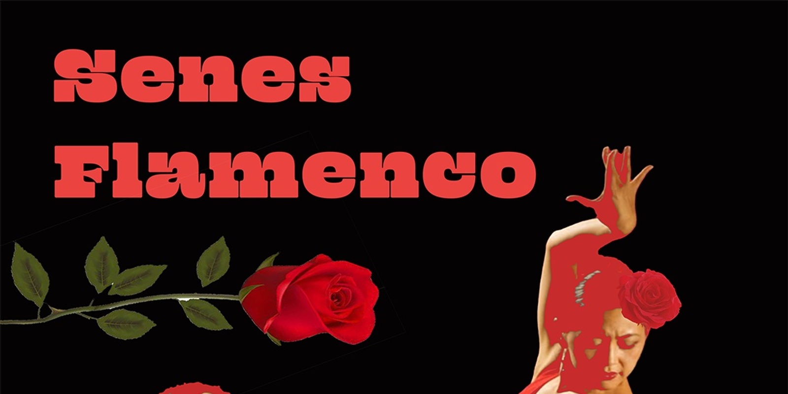 Banner image for Senes Flamenco @ BAR OUSSOU!