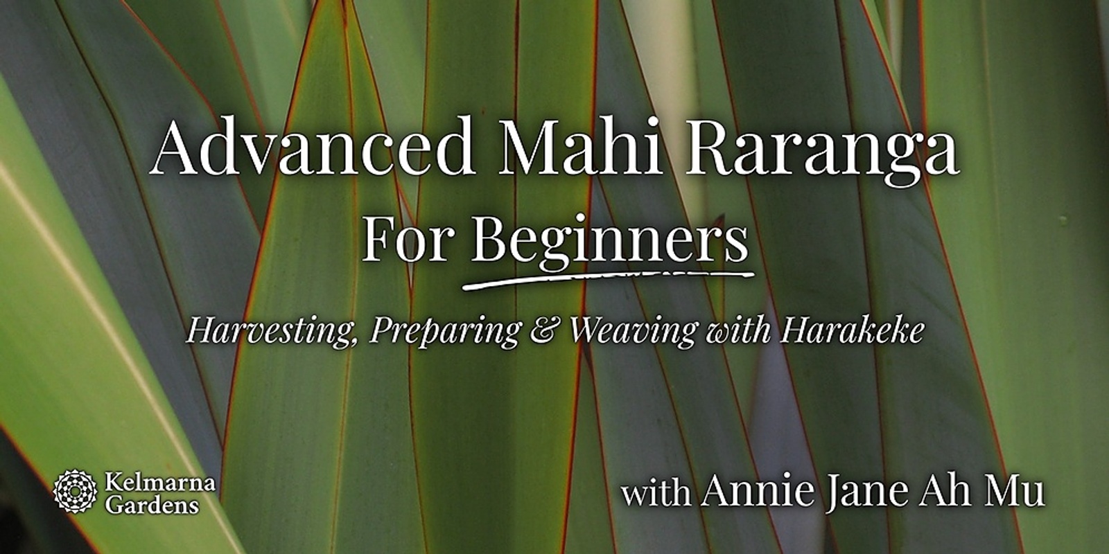 Banner image for Mahi Raranga, Full-Day for Beginners