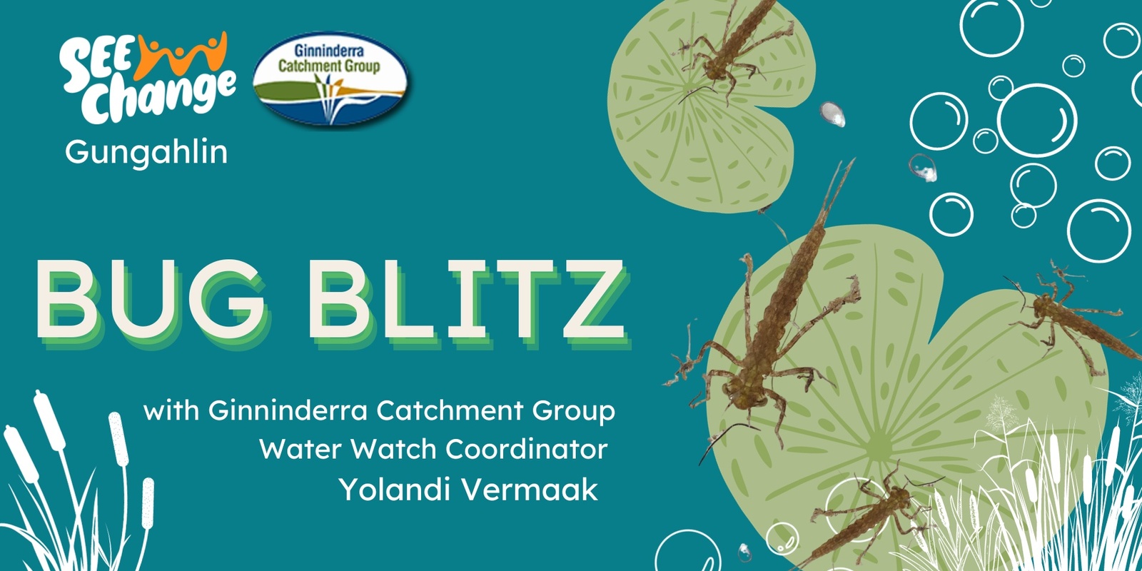 Banner image for Bug Blitz: Exploring waterbugs that live in our ponds!
