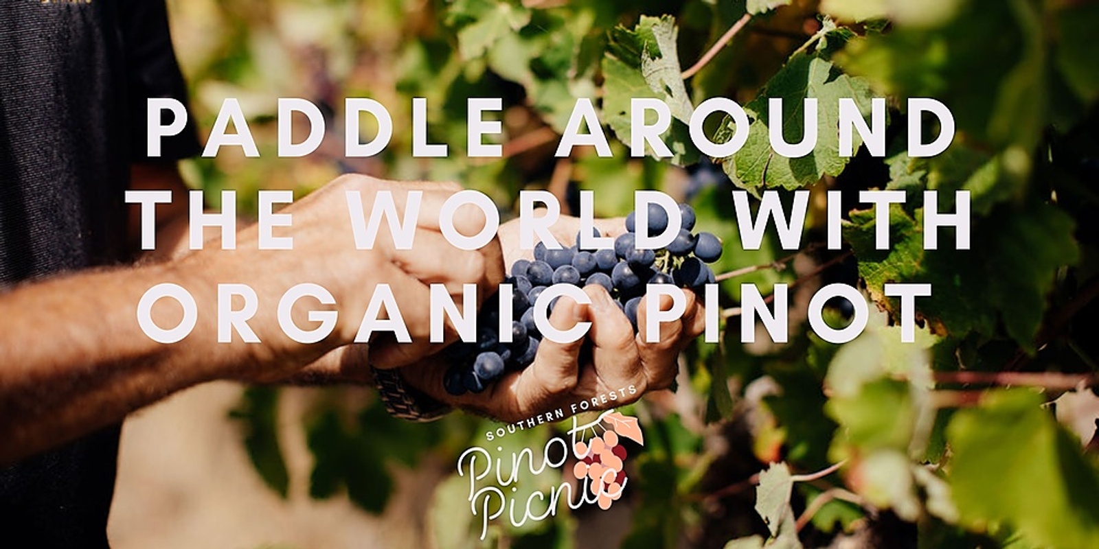 Banner image for Paddle Around the World with Organic Pinot | Pinot Picnic 2023