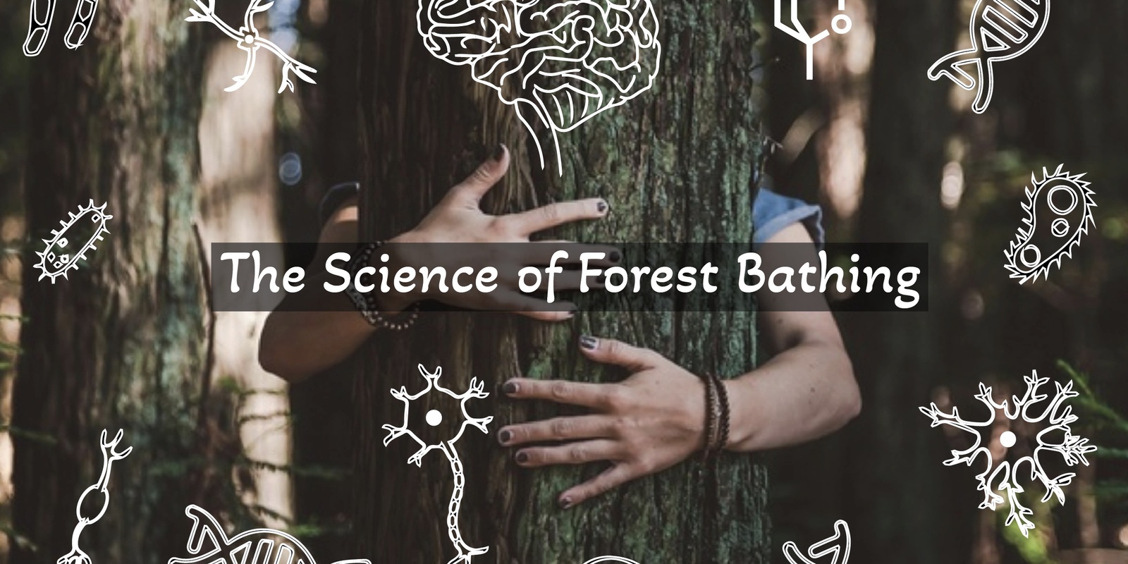 Banner image for The Science of Forest Bathing