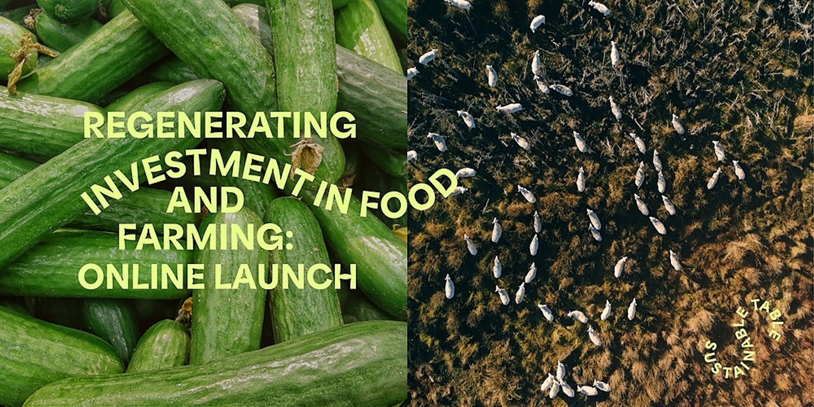 Banner image for Online Launch: Regenerating Investment in Food and Farming - A Sustainable Table Conversation