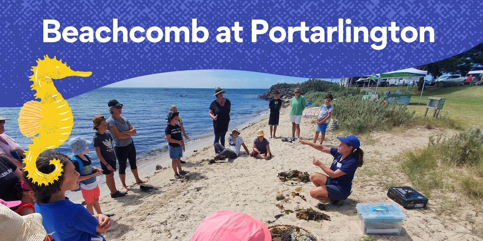 Banner image for Beachcomb at Portarlington Beach