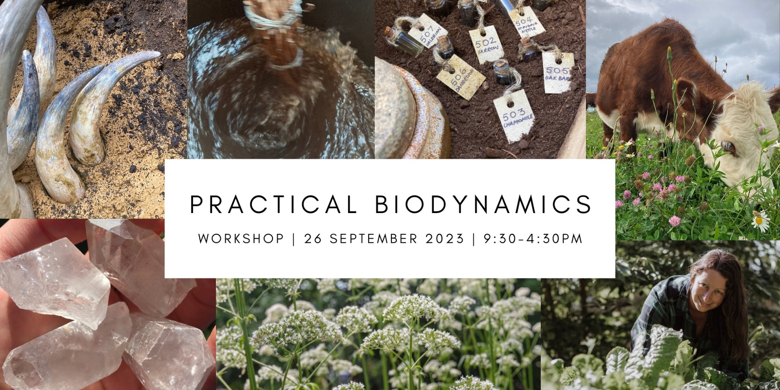 Banner image for Practical Biodynamics