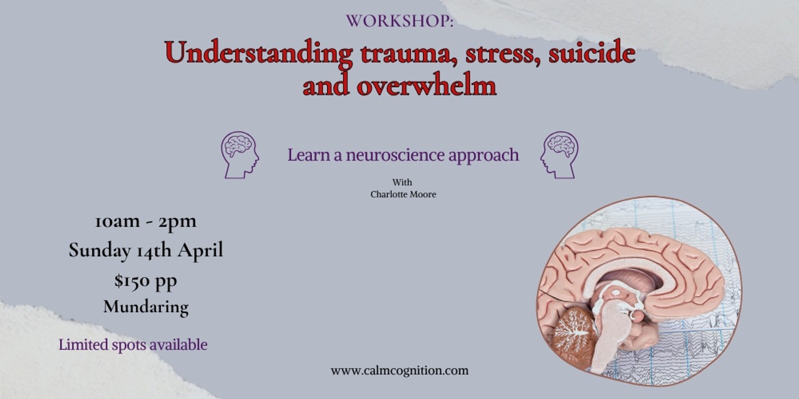 Banner image for Understanding trauma, stress, suicide and overwhelm through a neuroscientific lens