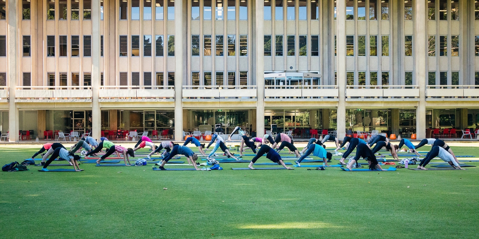 Banner image for Orientation Week Yoga on the Grass