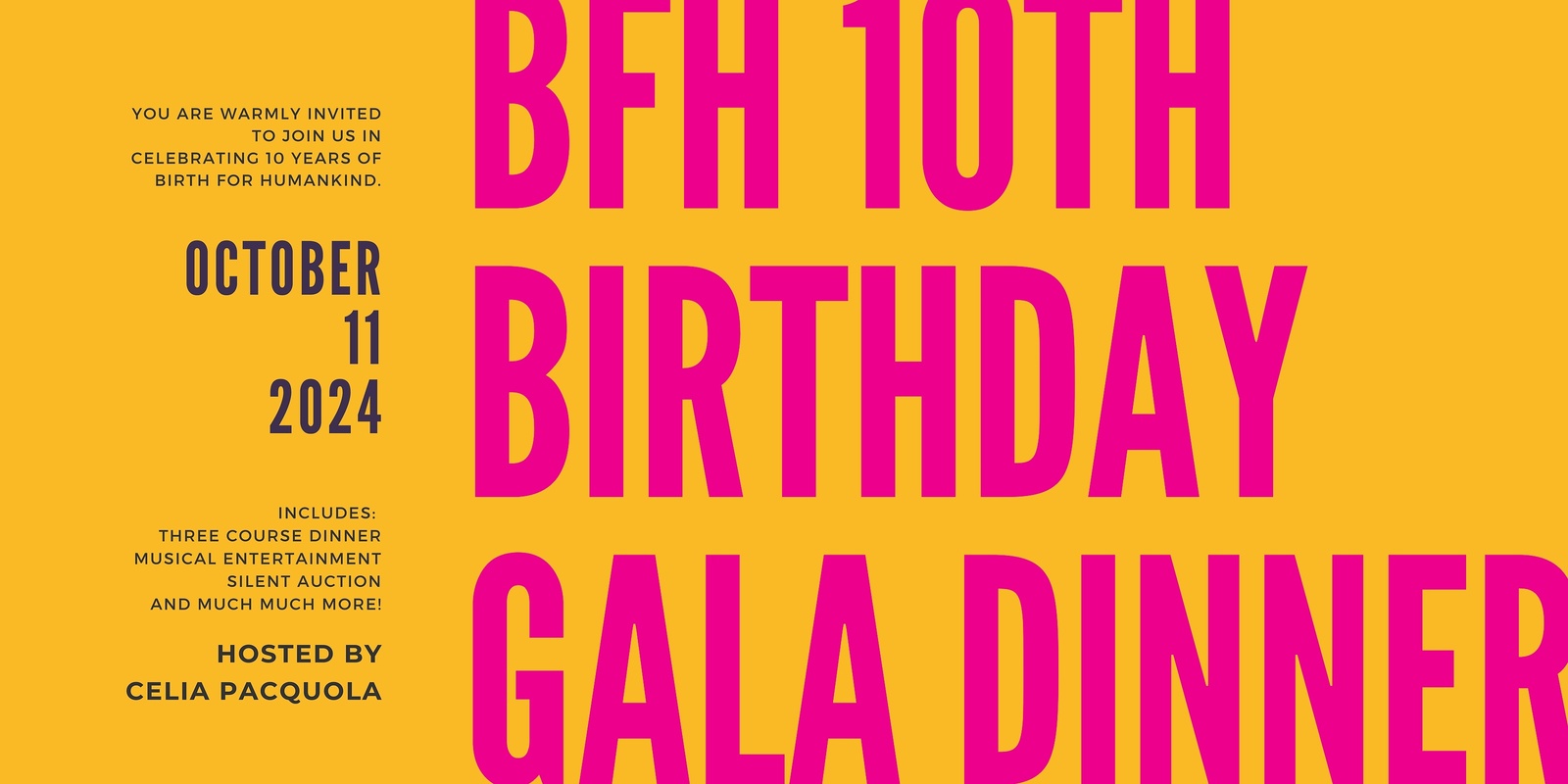 Banner image for Birth for Humankind's 10th Birthday Gala Dinner