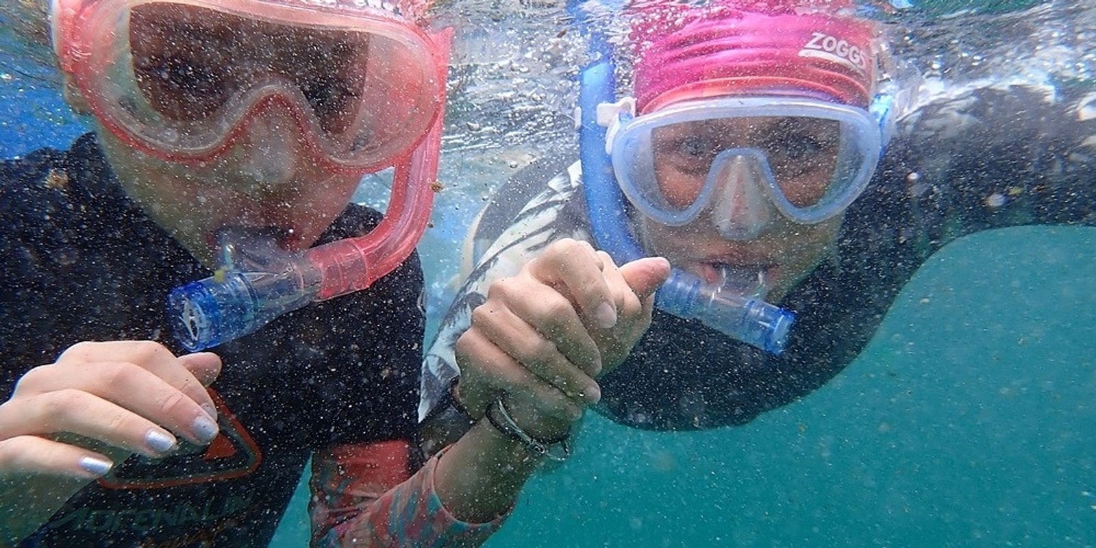 Banner image for Snorkelling at Clovelly for Beginners