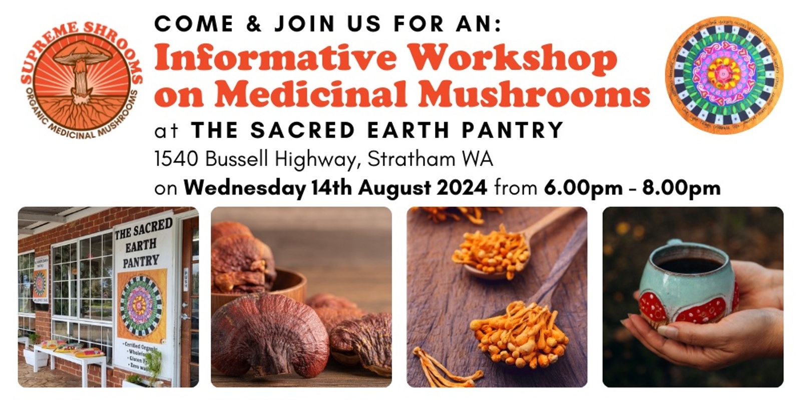 Banner image for Medicinal Mushrooms Workshop - Stratham, WA
