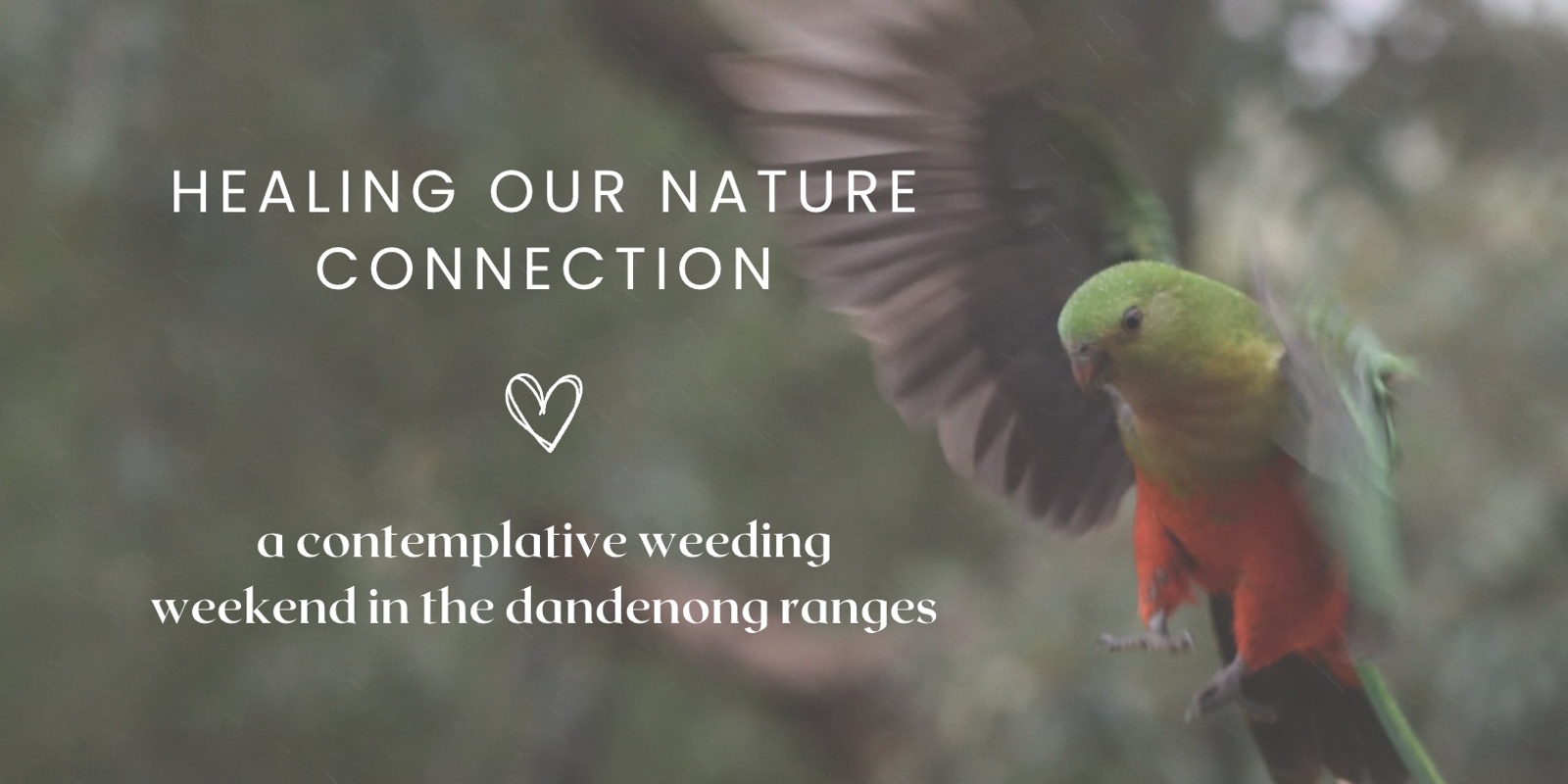 Banner image for Healing Our Nature Connection: A Contemplative Weeding Weekend