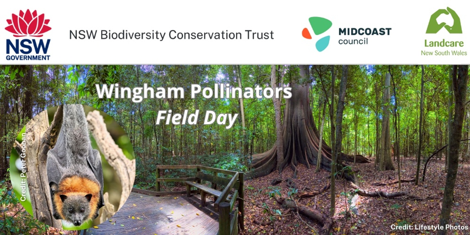 Banner image for Wingham Pollinators