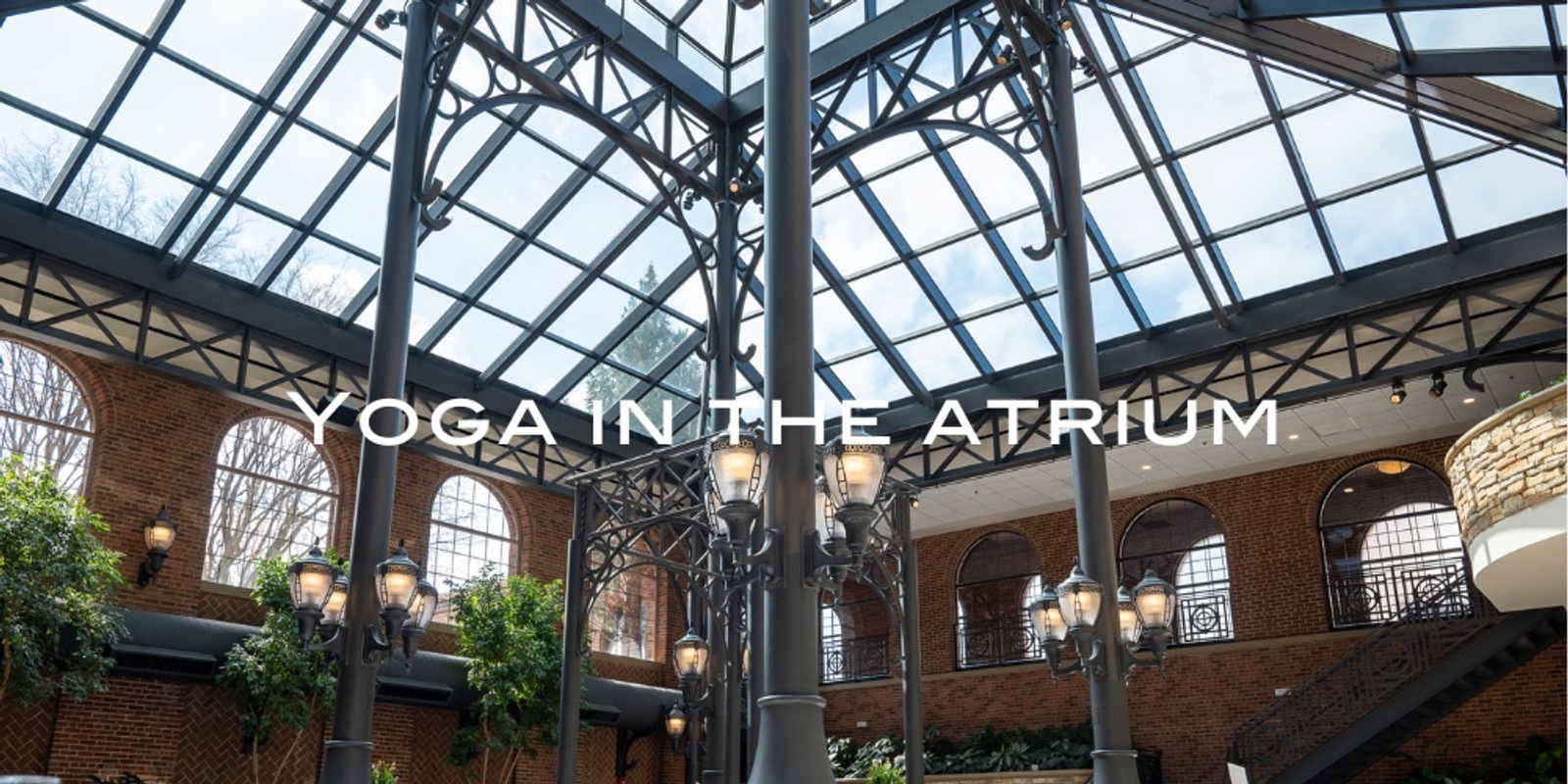 Banner image for Yoga in the Atrium - Oct 12