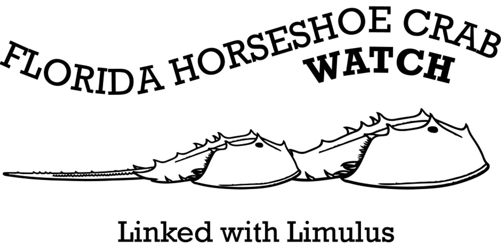 Banner image for Florida Horseshoe Crab Watch Training Workshop 