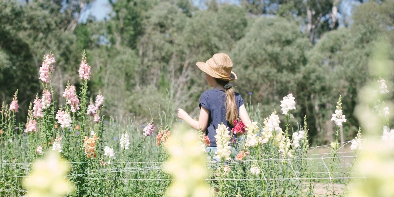 Banner image for School Holiday Flower Picking 