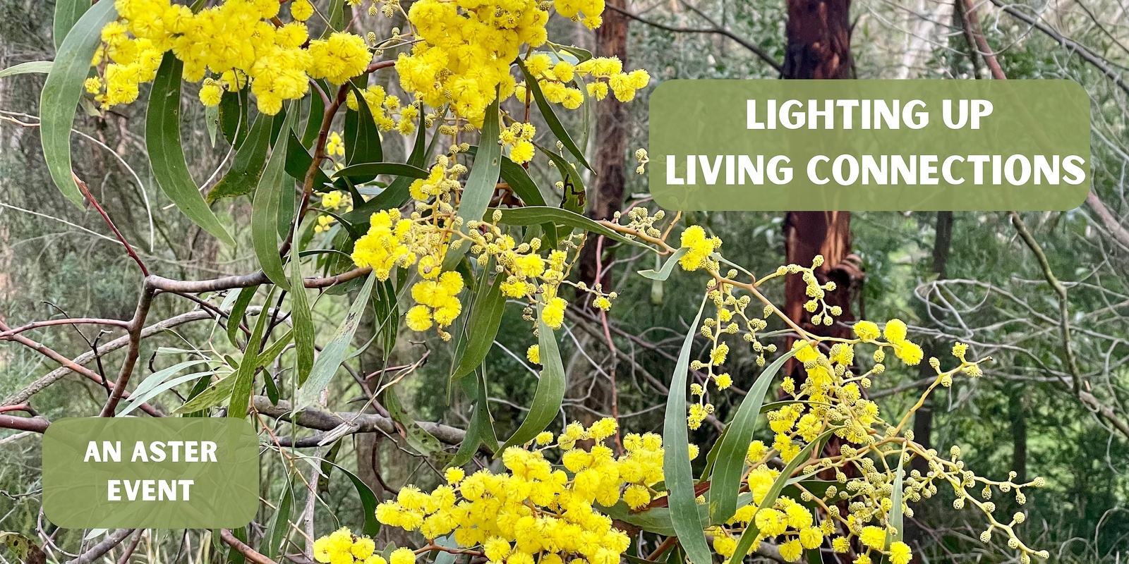 Banner image for Lighting Up Living Connections - Spring 2024