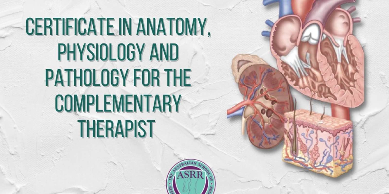 Anatomy diploma for any health professional or just for fun to gain further understanding.