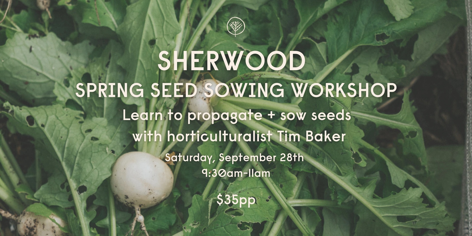 Banner image for Sherwood Spring Seed Sowing Workshop