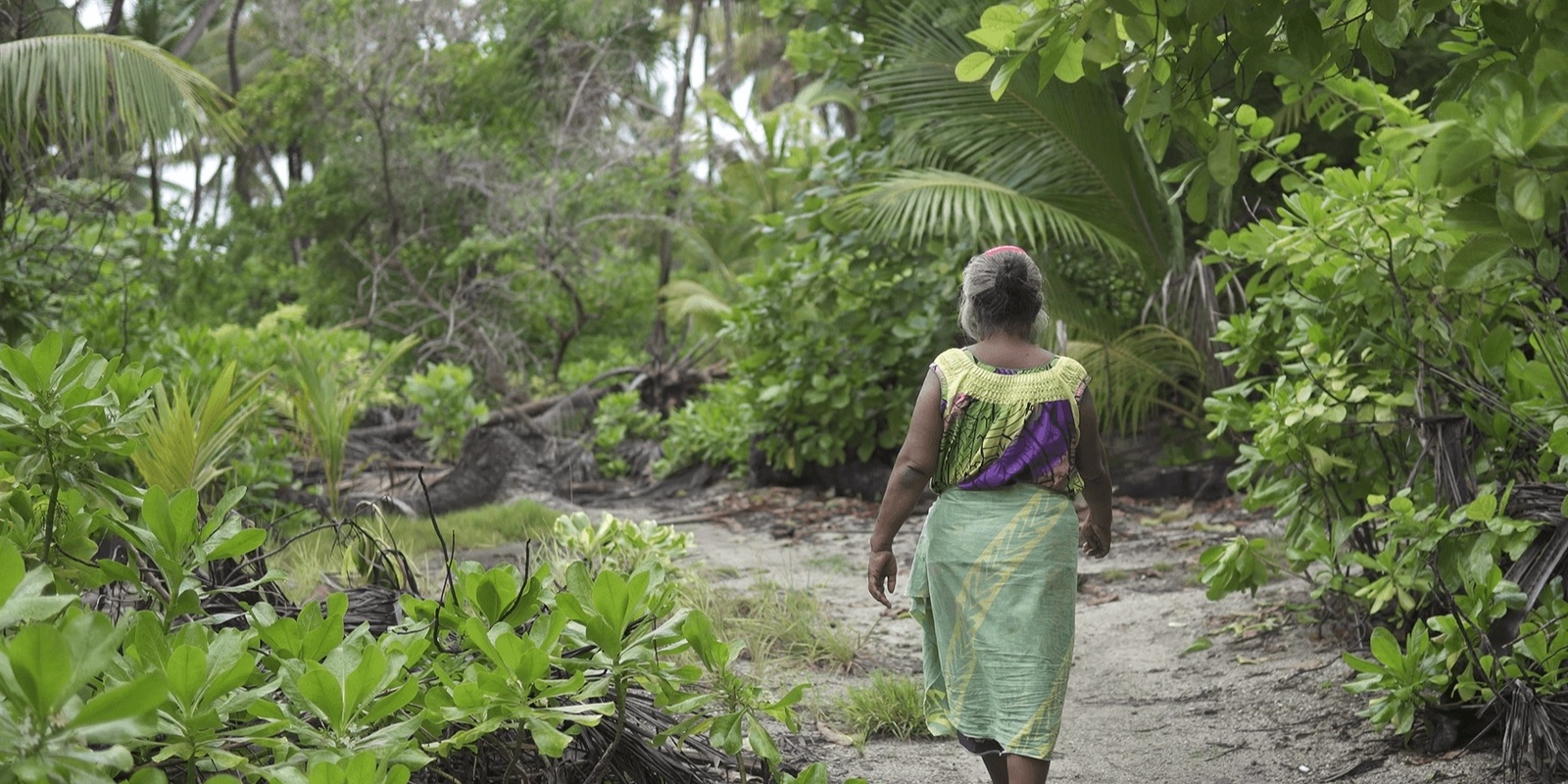 Banner image for Rising Stories: Climate Storytelling in the Pacific 